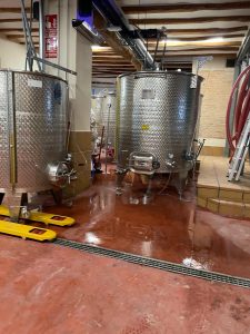 CELLER QUANTIC GAIANES